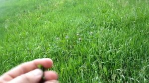 Как быстро залечить порез или рану