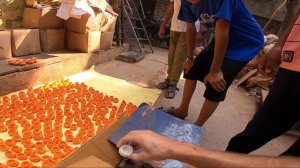 Как живут люди в трущобах Мумбаи? Жизнь в Дхарави, самых опасных трущобах Индии