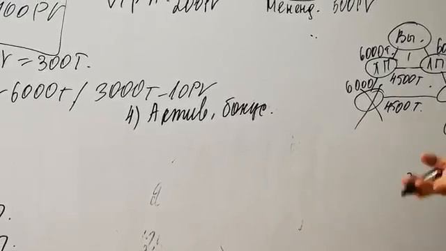 Подробный Маркетинг план Global Trend Company