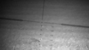 Browning T-Bolt .22 - Sytong ht-66 NV - lamping