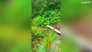 Одиночный поход по Горному Алтаю — 4 часть (Озеро Крепкое, Мультинские озера)