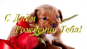 С ДНЁМ РОЖДЕНИЯ / ДЕНЬ РОЖДЕНИЯ /  ПОЗДРАВЛЕНИЕ С ДНЁМ РОЖДЕНИЯ