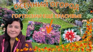 ?? Осенний садовый тур в компании моих пушистых друзей! ?? Просто Мария