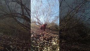 Обучение на прыжок/туториал/обучение квадробики/квадробика