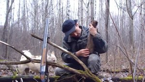 Охота с западно-сибирской лайкой 3 серия