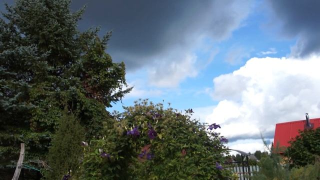 Стихи про осень. Сад в сентябре смотреть онлайн