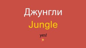 Джунгли по-английски