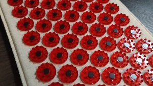 Аппликатор Кузнецова тибетский