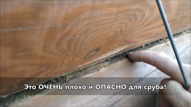 Как НЕ СГНОИТЬ дом конопаткой с канатиком. Ошибки конопатки и подвивки сруба канатом. смотреть онлайн