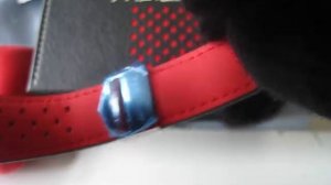 Tag Heuer Carrera Special Edition "Muhammad Ali" Ref.WAR2A11 FC6337 Function Testing