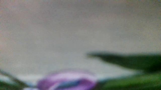 СветлячокСвет... Свет Светлячок!Днём обычный червячок.Свет... Свет Светлячок!наброски