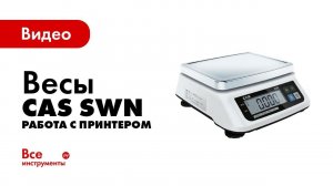 Весы CAS SWN. Работа с принтером