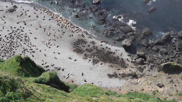 Слияние Тихого океана и Беренгова моря смотреть онлайн