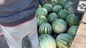 Узбекская Уличная Еда!