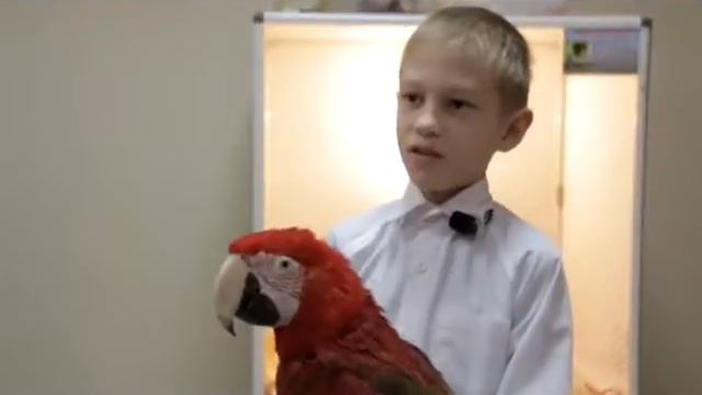 Экзотические животные в Нефтекамске смотреть онлайн