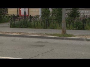 Водитель красной инфинити насмерть сбил собаку, выбежавшую на дорогу