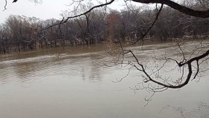 Весеннее посещение участка