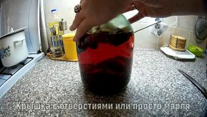 Свекольный квас | Beet kvass