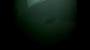 Екатерина Спиридонова-Кукушка (cover Полина Гагарина)