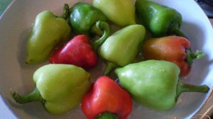 Жареный болгарский перец с чесноком и зеленью