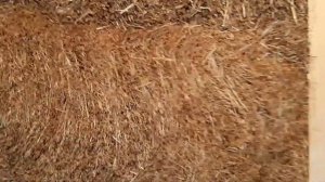 Энергоэффективный экодом из природных материалов. Штукатурка.