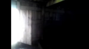 Побелил сарай известью