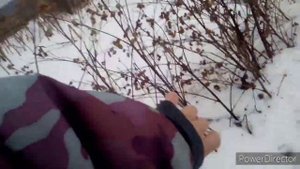 Разведка весеннего пролёта #2. Ловля щеглов. Белобородый щегол красавец ?