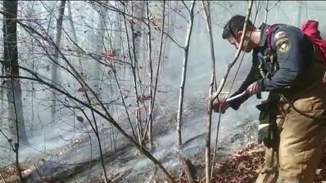 В Краснодарском крае ввели режим ЧС из-за природных пожаров