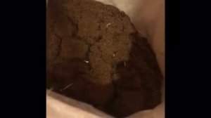 Сахар коричневый Тростниковый сорт Мусковадо