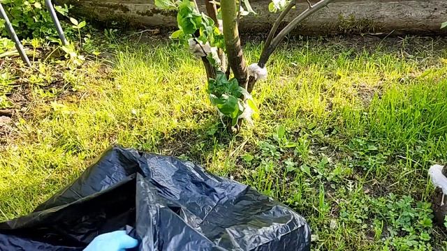 КОГДА ЛЕНЬ ДЕЛАТЬ ГРЯДКИ / БЫСТРЫЕ ГРЯДКИ / НА РАННИЙ УРОЖАЙ смотреть онлайн