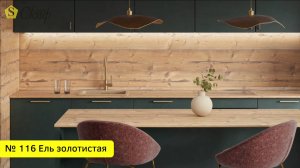 № 116 Ель золотистая