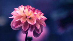 Вечерняя молитва о исцелении зрения на русском языке