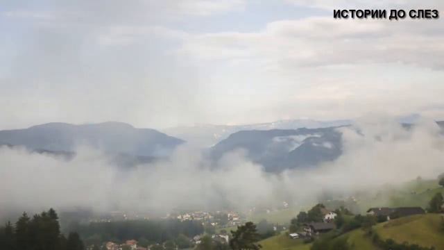 СОШЛА С УМА ОТ РЕВНОСТИ... ИСТОРИИ ИЗ ЖИЗНИ. ЖИЗНЕННЫЕ ИСТОРИИ. смотреть онлайн