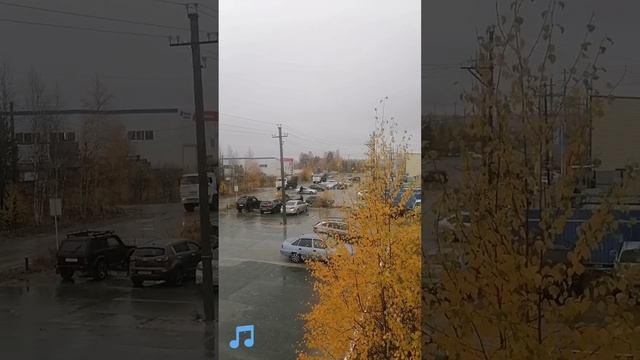 29.09.23 г. Ноябрьск