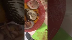 Анадара моллюск как открыть и есть