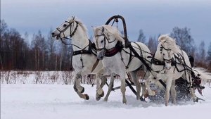 "Трудно в деревне у нас"хит 2020