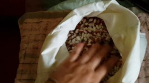 Как хранить фасоль