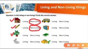 Living and Non Living things elaborated worksheet