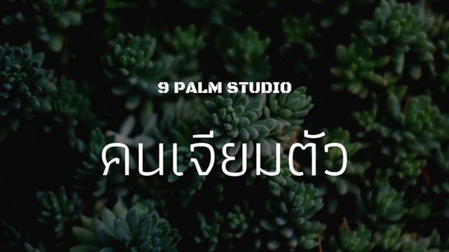 คนเจียมตัว SoCool (Cover) - 9 Palm смотреть онлайн