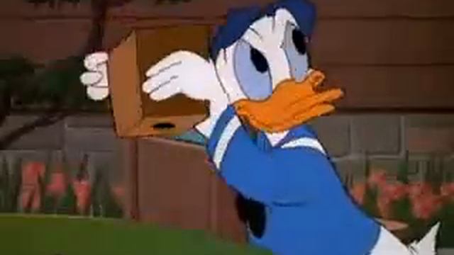 Мультфильм Дональд Дак смотреть онлайн