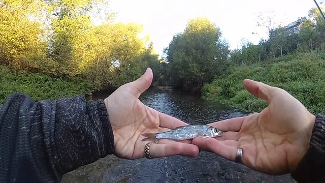 007 - Снова перекаты и снова Елец смотреть онлайн