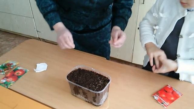 Начало исследовательской работы