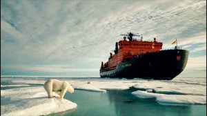 Белые медведи – хозяева Арктики
