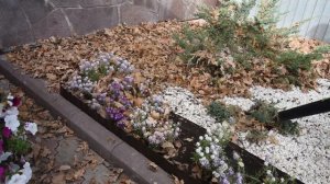 ⚡️Аккумуляторная воздуходувка–пылесос Greenworks GD40BVII обзор и тест???