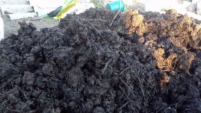 Ускоренная ферментация куриного помета