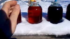 мои винные сорта винограда