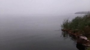 Рыбалка на озере Сенеж.Пасмурно.Туман.Ловля на пенопласт и сало.Донная снасть с лепестком.
