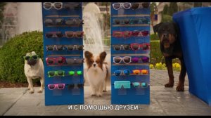 Псы под прикрытием/ Show Dogs (2018) Русский трейлер (субтитры)