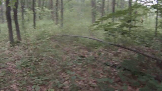 ГРИБНЫЕ МЕСТА смотреть онлайн