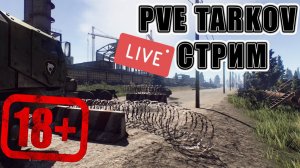 PVE TARKOV | ПВЕ интересно | Таможня? Как поживаешь кепка?